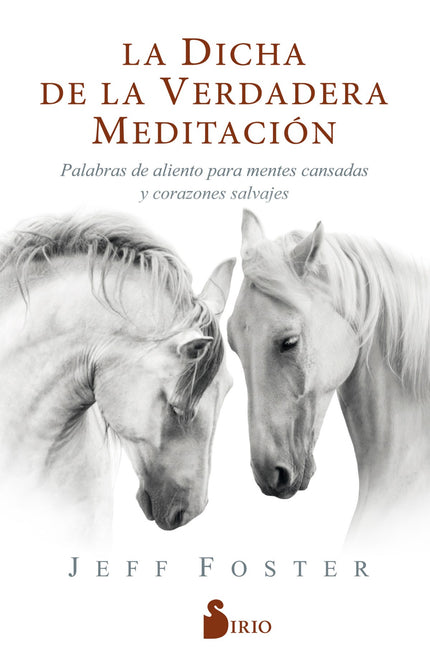 Libro La Dicha De La Verdadera Meditación: Tras superar una durísima depresión que lo llevó al borde del suicidio, Jeff Foster es hoy un reconocido maestro espiritual. Con este libro nos invita a descubrir el santuario interior de la verdadera meditación.