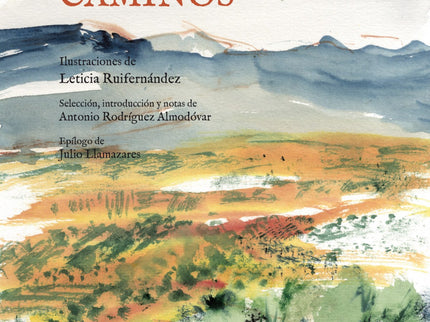 Libro Yo Voy Soñando Caminos: Una antología esencial de Antonio Machado con poemas escogidos por Antonio Rodríguez Almodóvar ilustrada por Leticia Ruifernández y con epílogo de Julio Llamazares. Esta preciosa antología ilustrada sigue la ruta vital del poeta: Sevilla, Madrid, Soria, Baeza, Segovia, otra vez Madrid, Valencia, Collioure.