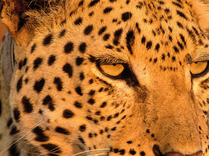 Namibia