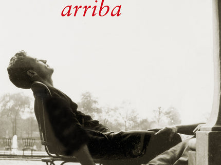 Nos Vemos Allá Arriba (los Hijos Del Desastre 1)