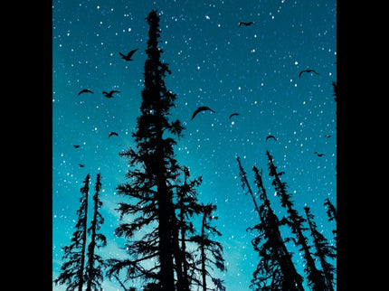 UNA OFENSA MORTAL - Louise Penny - Tapa blanda