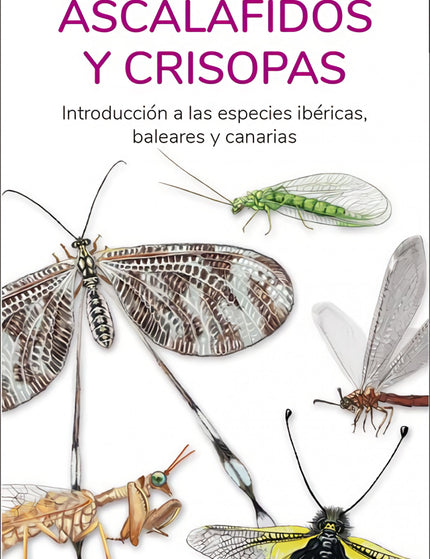 HORMIGAS LEON ASCALAFIDOS Y CRISPOSAS - Victor J. Hernandez - RUSTICA