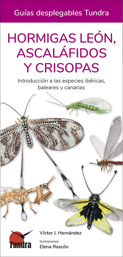 HORMIGAS LEON ASCALAFIDOS Y CRISPOSAS - Victor J. Hernandez - RUSTICA