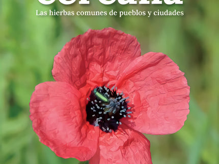 Botanica Cercana. Las Hierbas Comunes De Los Pueblos Y Ciudades
