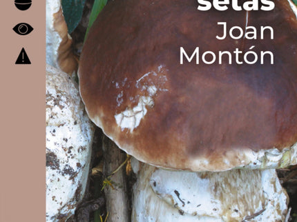 Guía Práctica De Setas