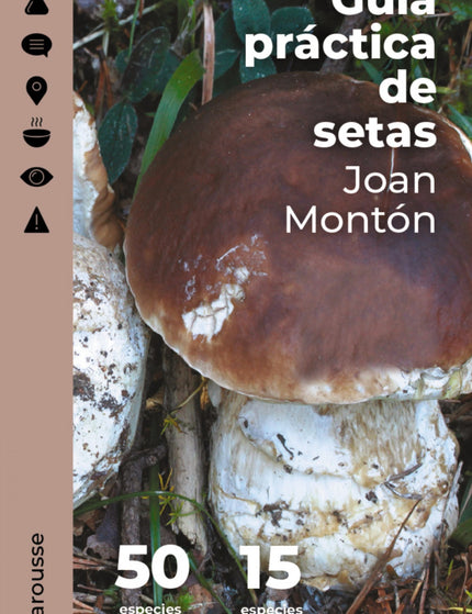 Collection image for: Actividades recreativas al aire libre