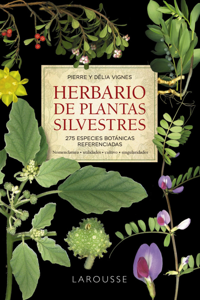 Herbario De Plantas Silvestres