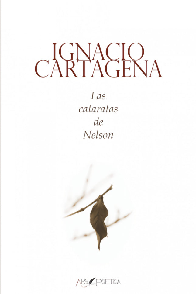 Las Cataratas De Nelson