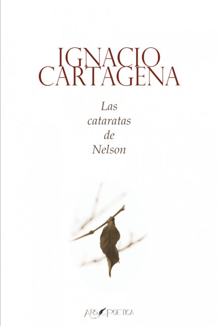 Las Cataratas De Nelson