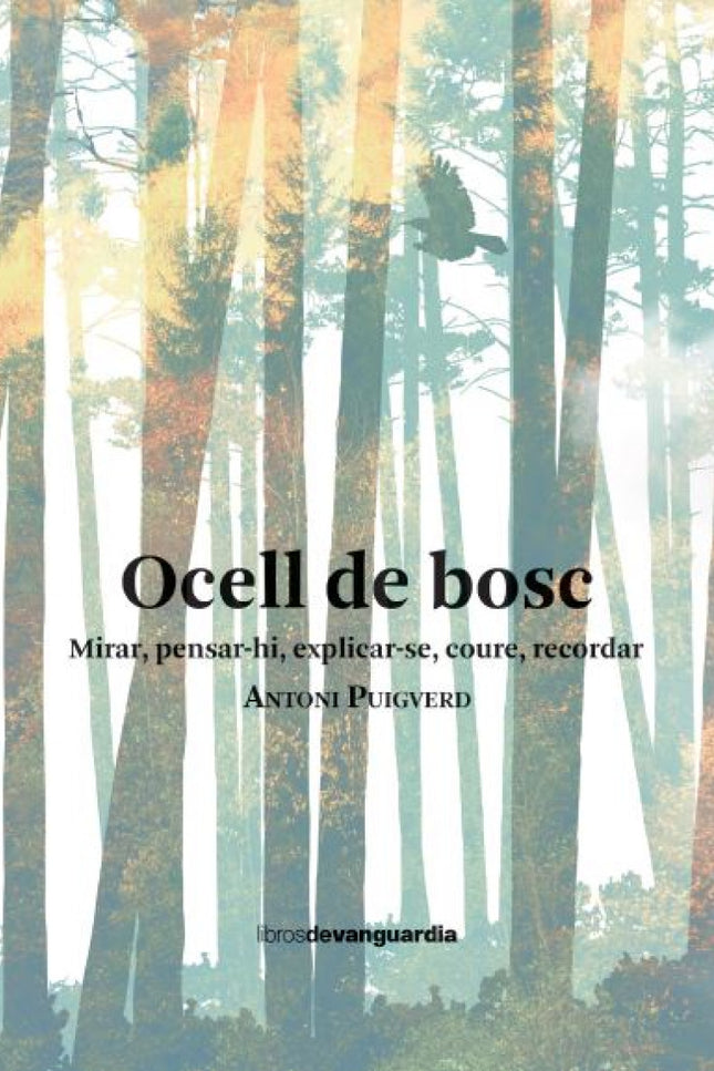 Ocell De Bosc