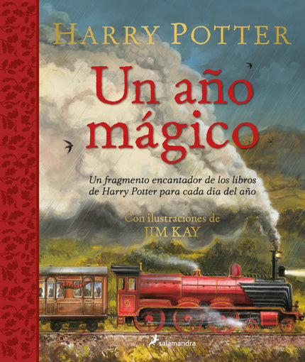Harry Potter: Un Año Mágico