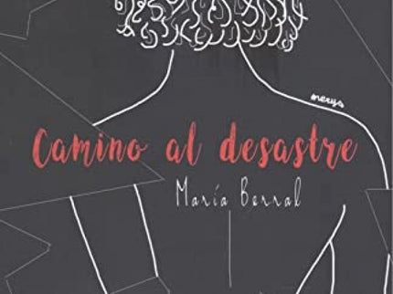 Camino Al Desastre