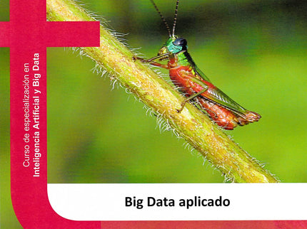 Big Data Aplicado