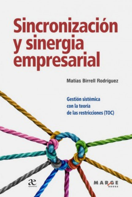 Sincronizacion Y Sinergia Empresarial:gestion Sistematica