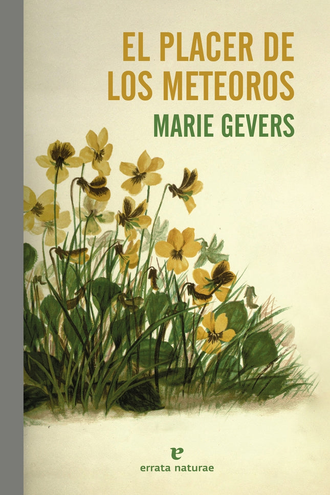 El Placer De Los Meteoros