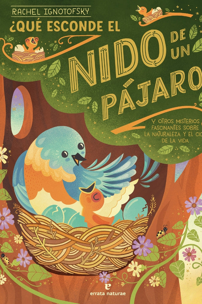 ¿qué Esconde El Nido De Un Pájaro?