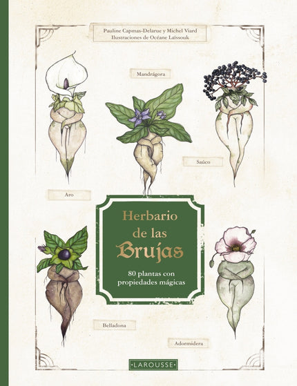 Collection image for: Botánica y ciencias de las plantas