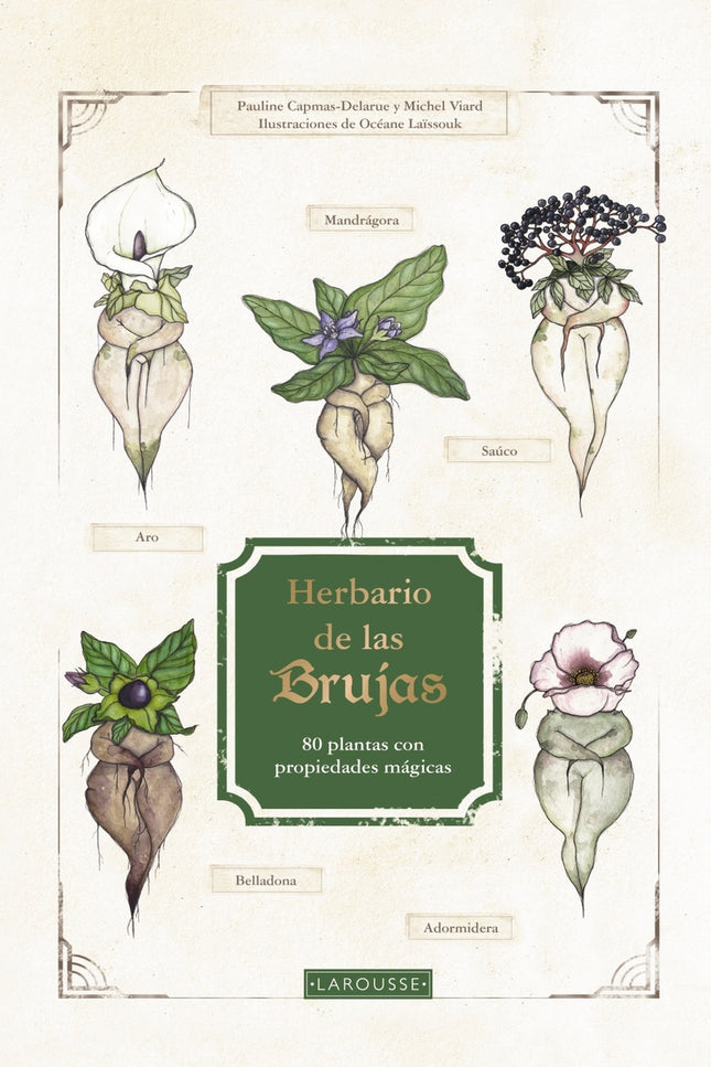 Herbario De Las Brujas