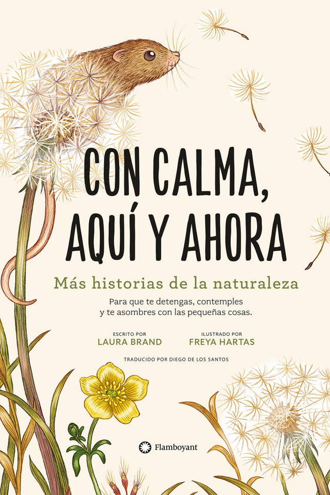 Con Calma, Aqui Y Ahora