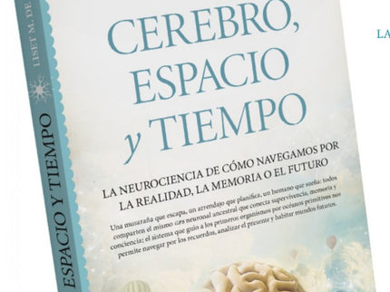 Cerebro, Espacio Y Tiempo