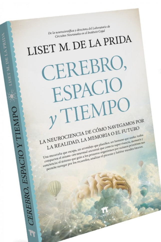 Cerebro, Espacio Y Tiempo