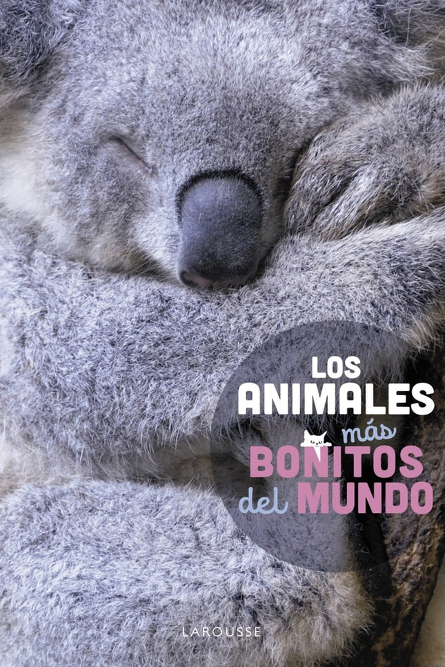 Los Animales Más Bonitos Del Mundo