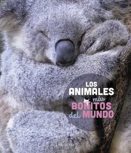 Los Animales Más Bonitos Del Mundo