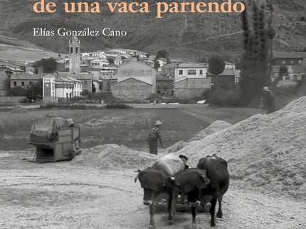 Como El Mugido De Una Vaca Pariendo