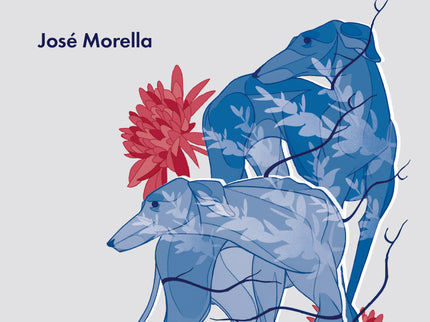 Tierra adentro - José Morella - RUSTICA