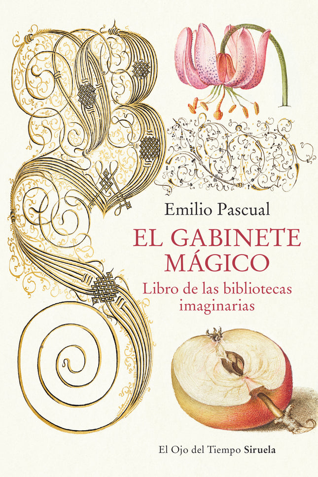Gabinete Magico:libro De Las Bibliotecas Imaginarias