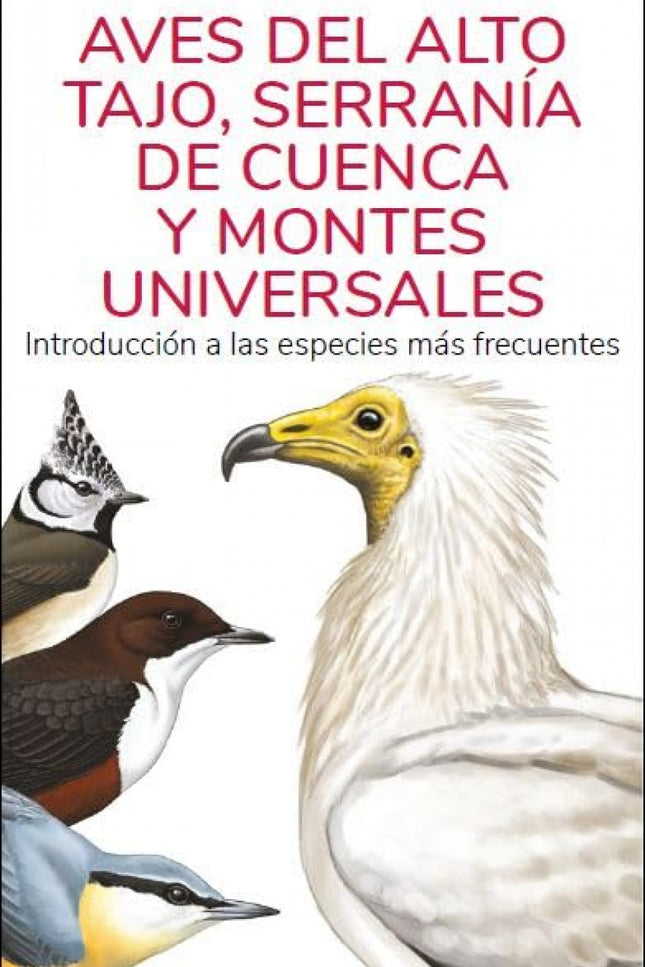 AVES DEL ALTO TAJO, SERRANIA DE CUENCA Y MONTES UNIVERSALES - GUIAS DESPLEGABLES - J. Victor Hernandez - RUSTICA