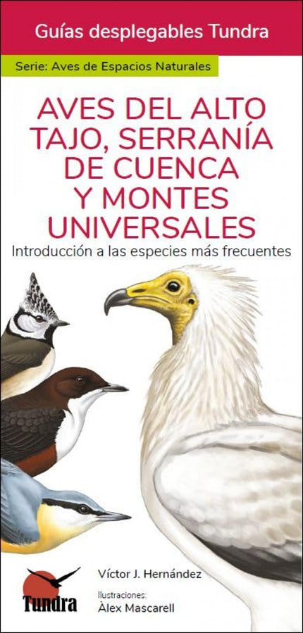 AVES DEL ALTO TAJO, SERRANIA DE CUENCA Y MONTES UNIVERSALES - GUIAS DESPLEGABLES - J. Victor Hernandez - RUSTICA