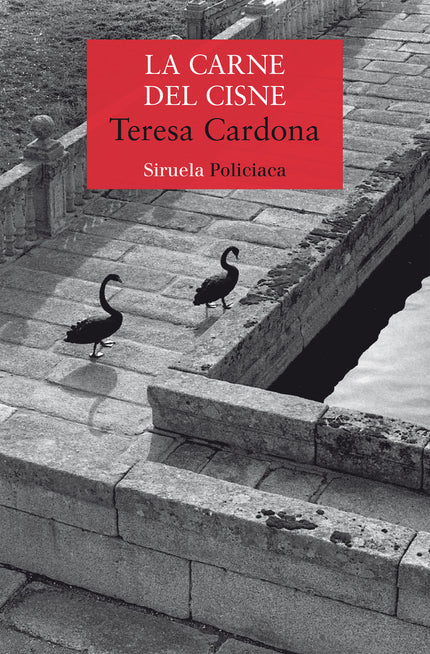 La Carne Del Cisne