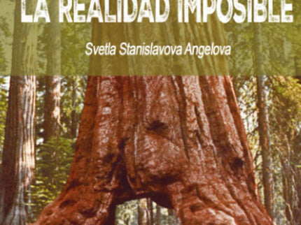 La Realidad Imposible