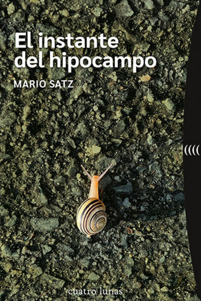 El Instante Del Hipocampo
