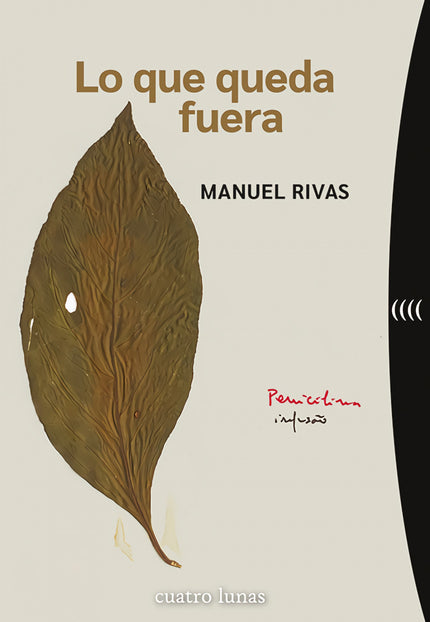 Lo Que Queda Fuera