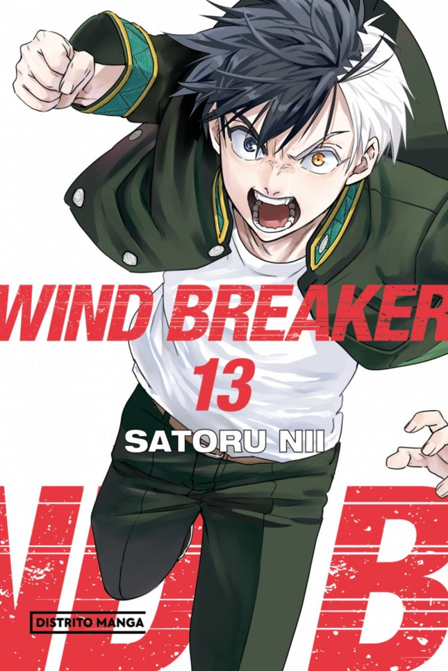 Wind Breaker 13