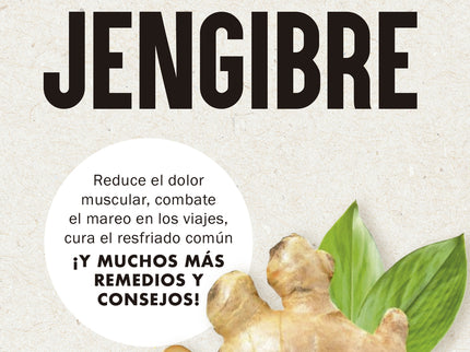 101 Usos Increíbles Del Jengibre