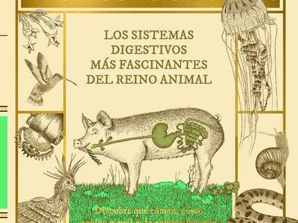 Comepedia
