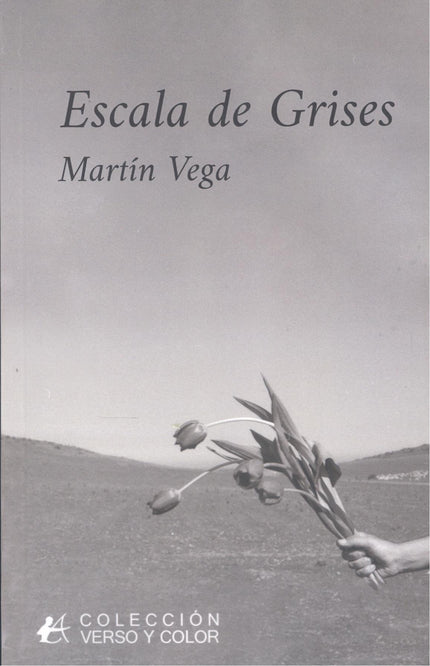 Escala De Grises