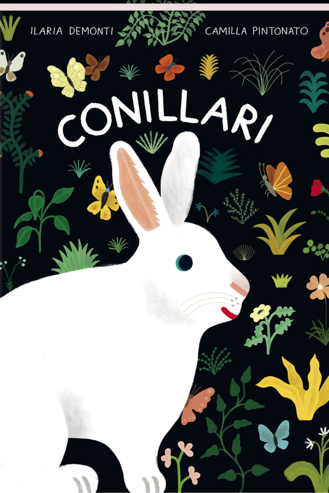 Conillari