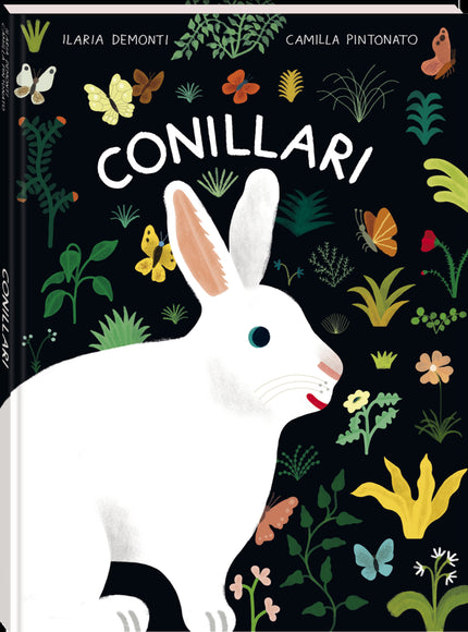 Conillari