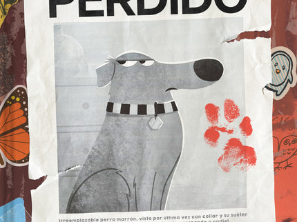 No estoy perdido - Kashelle Gourley - TAPA DURA