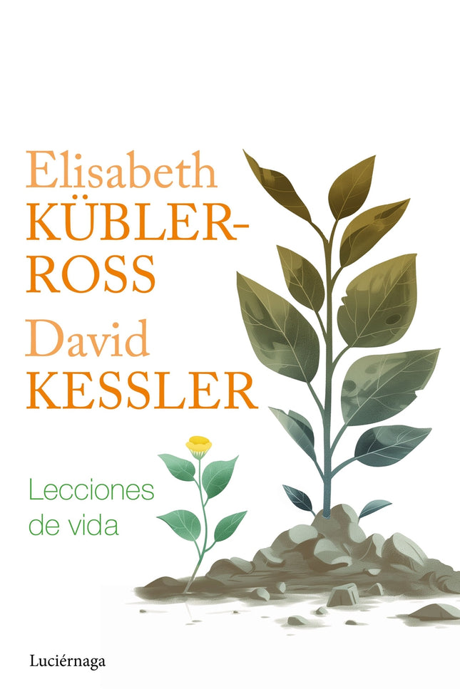Lecciones De Vida