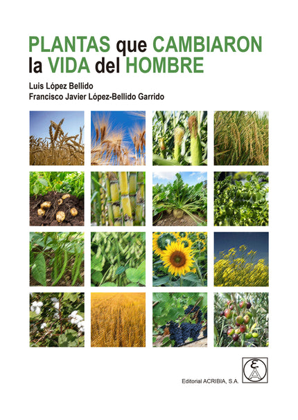 Plantas Que Cambiaron La Vida Del Hombre
