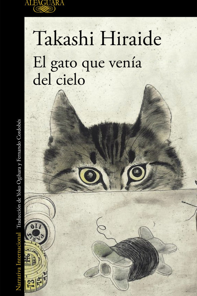 El Gato Que Venía Del Cielo