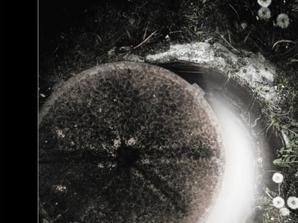 La Noche De La Usina (premio Alfaguara 2016)