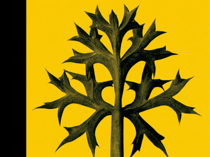 Libro Ordesa: Mejor libro del año según Babelia (El País)Libro recomendado por La Esfera (El Mundo)Premio Artes &amp;Let