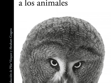 Por Que Miramos A Los Animales