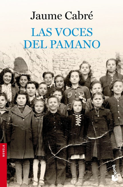 Libro Las Voces Del Pamano: El azar hace que Tina, una pací?ca maestra,encuentre, tras la pizarra de una escuela apunto 